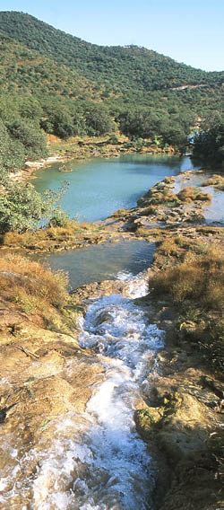 Wadi Darbat nach dem Monsun, Dhufar, Oman