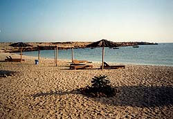 Turtle Beach Resort Ras Al Hadd Oman